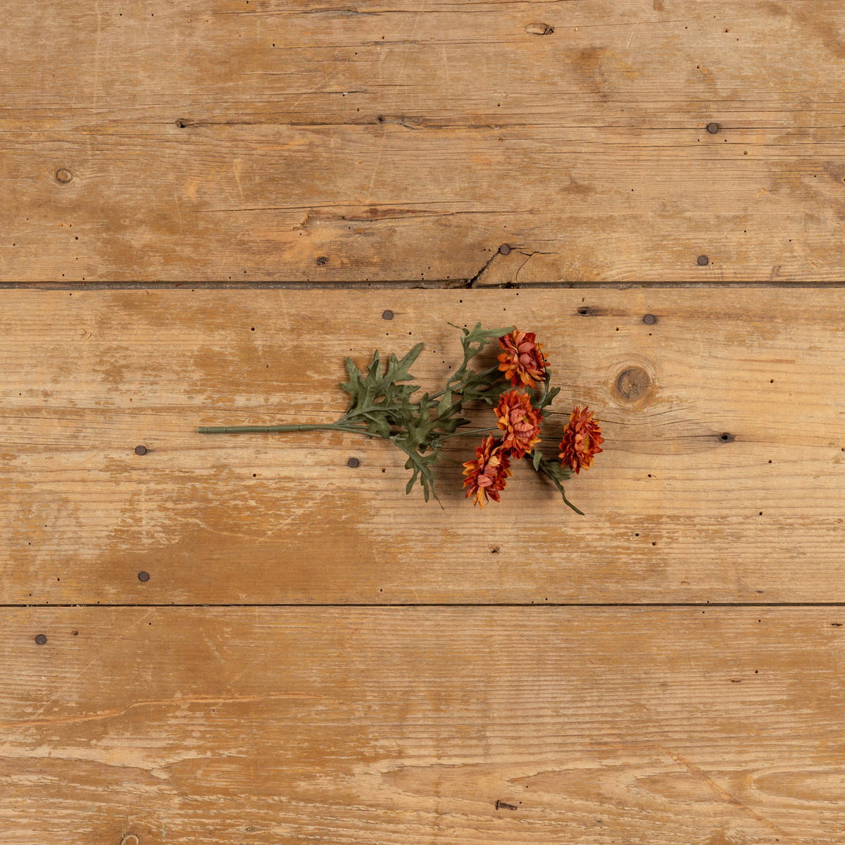 Floral pick on weathered wood table.