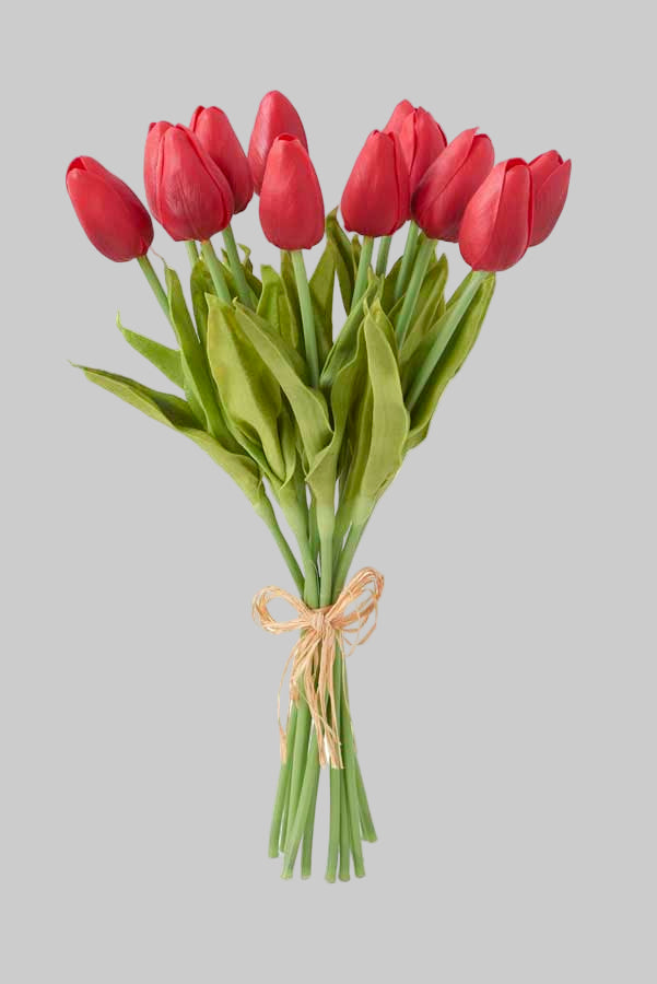 A bunch of red mini tulips with green stems tied together.