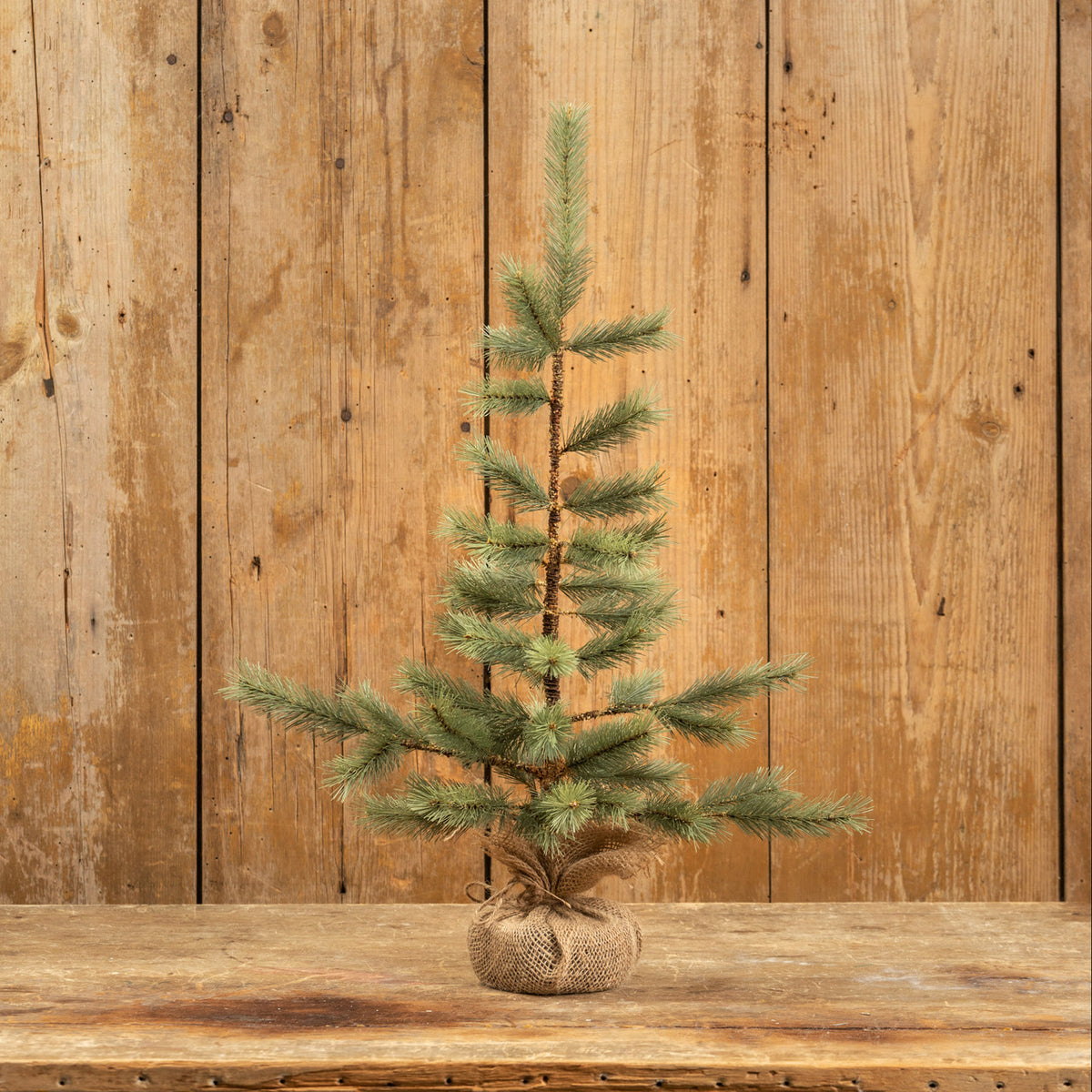 Small potted pine tree on a wooden surface with a wooden panel background