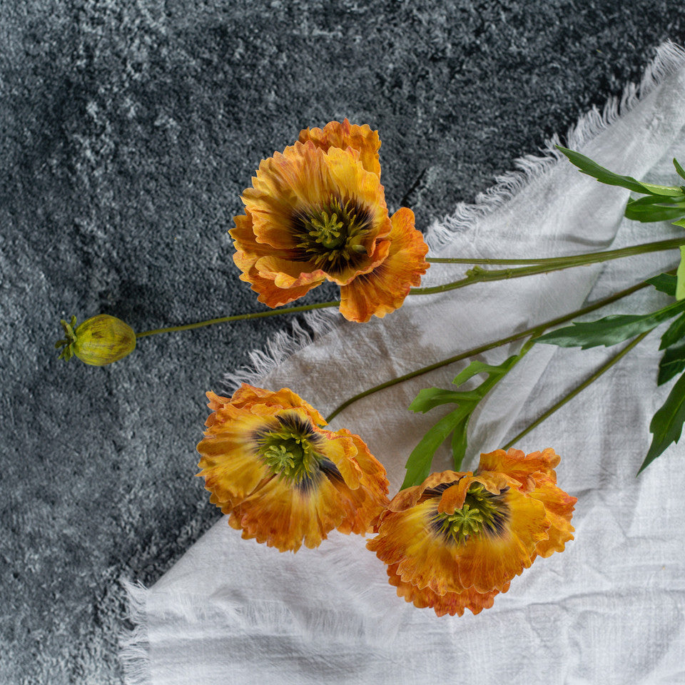 Orange flowers on a textured gray and white background