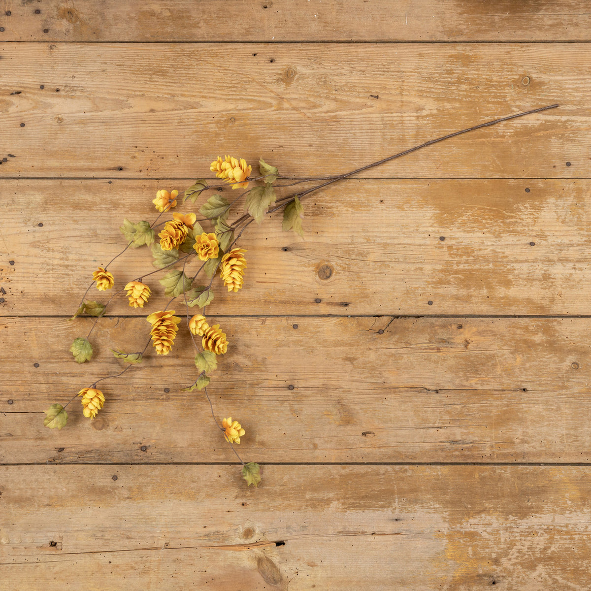 Floral pick on weathered wood table.