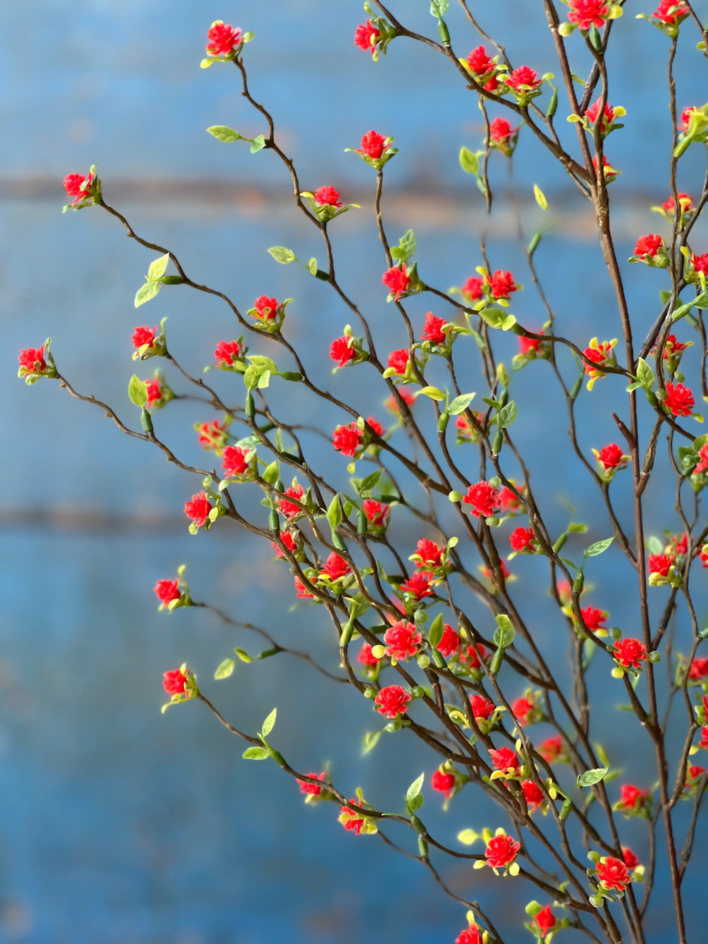 Love Buds Bush | 20" | Red