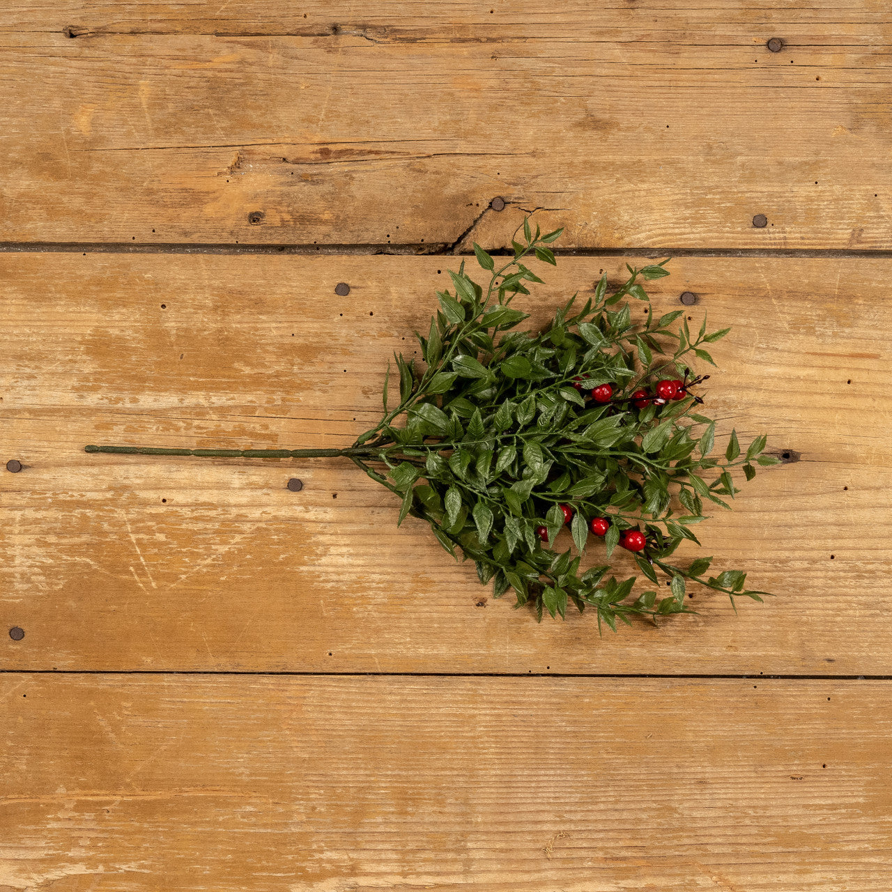 Mexican Fern Pick with Red Berries