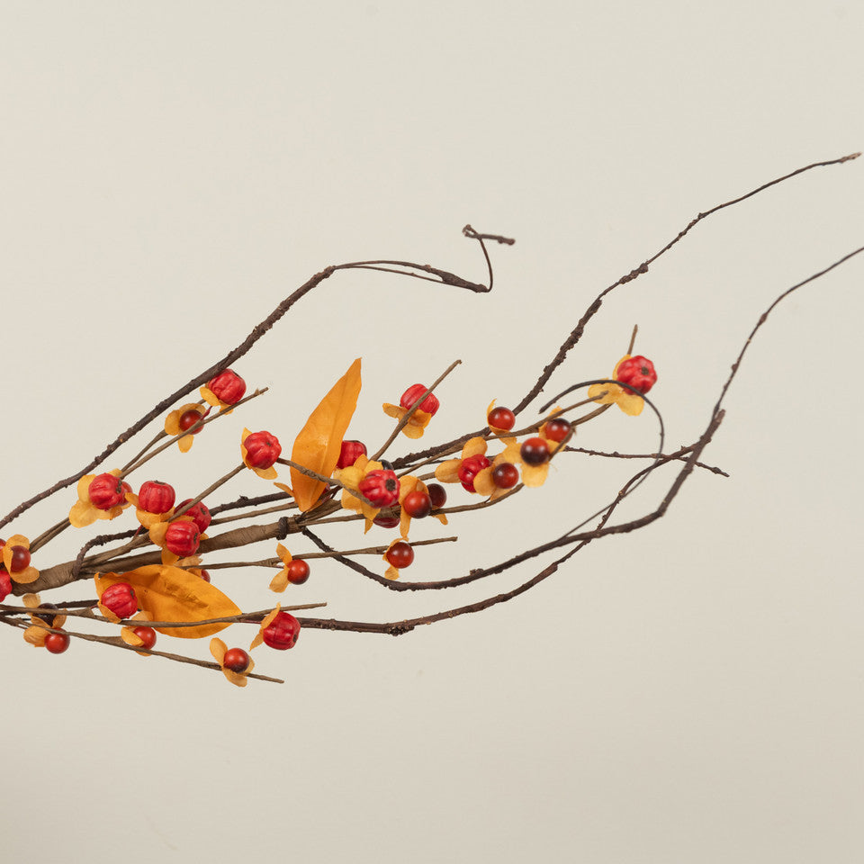 Bittersweet Pick 22"