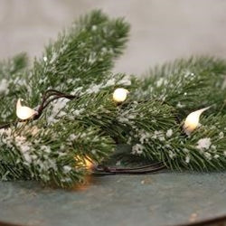 Farmhouse White Silicone Teeny Lights - 20 Count