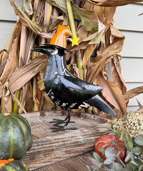 Crow with Witch Hat