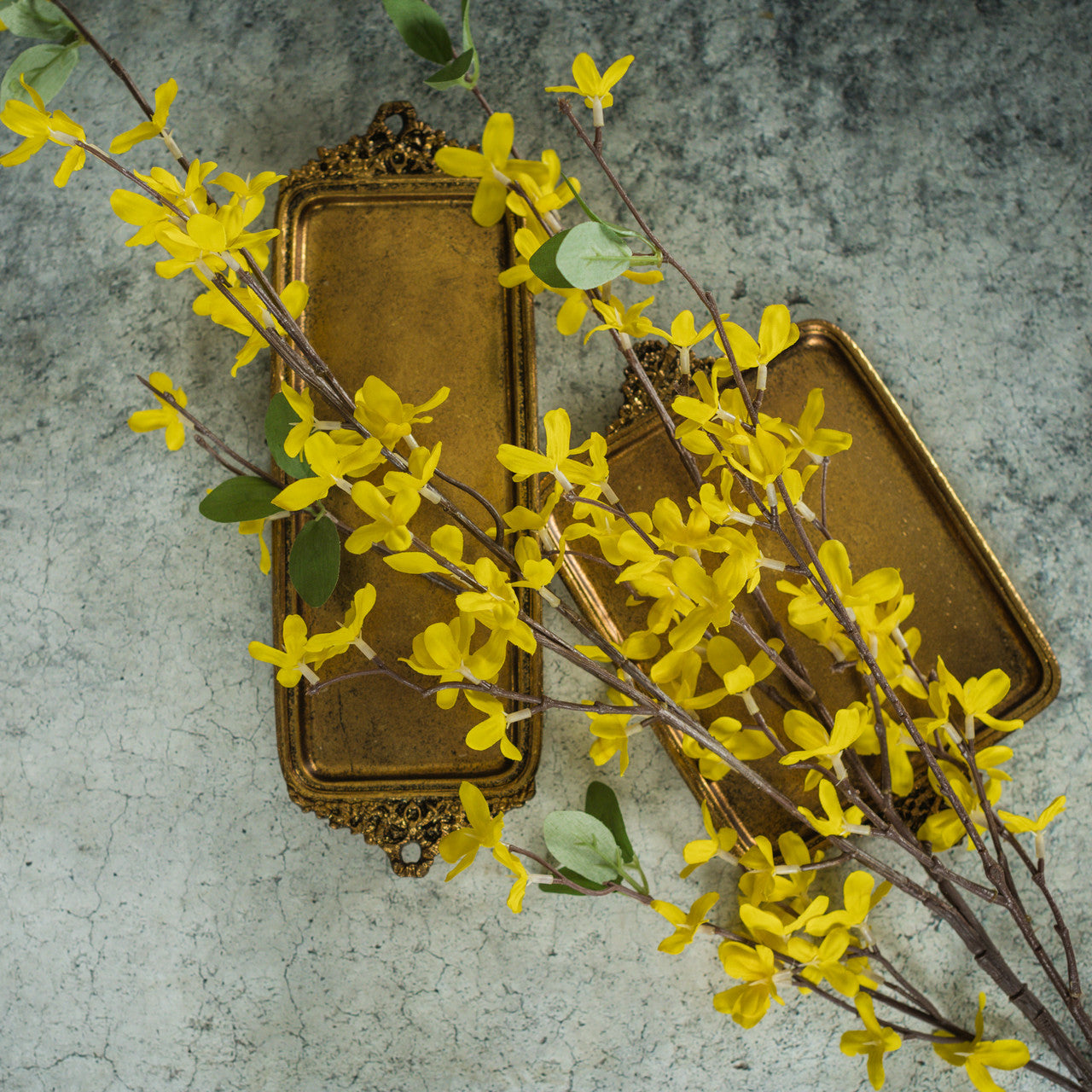 41" FORSYTHIA STEM