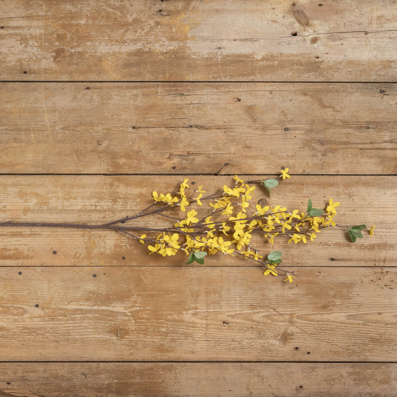 41" FORSYTHIA STEM