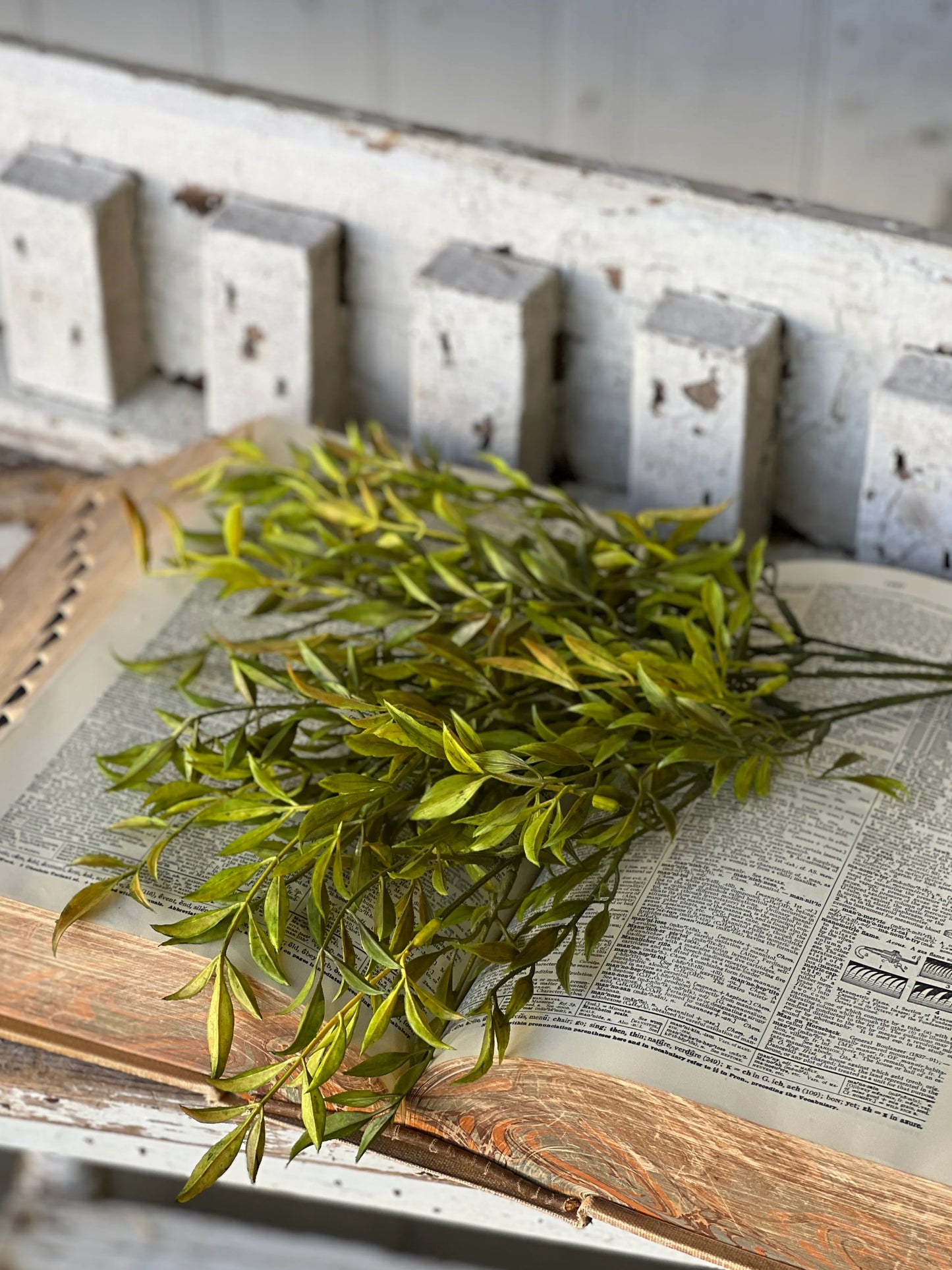 Smilax Bush | Green | 19"
