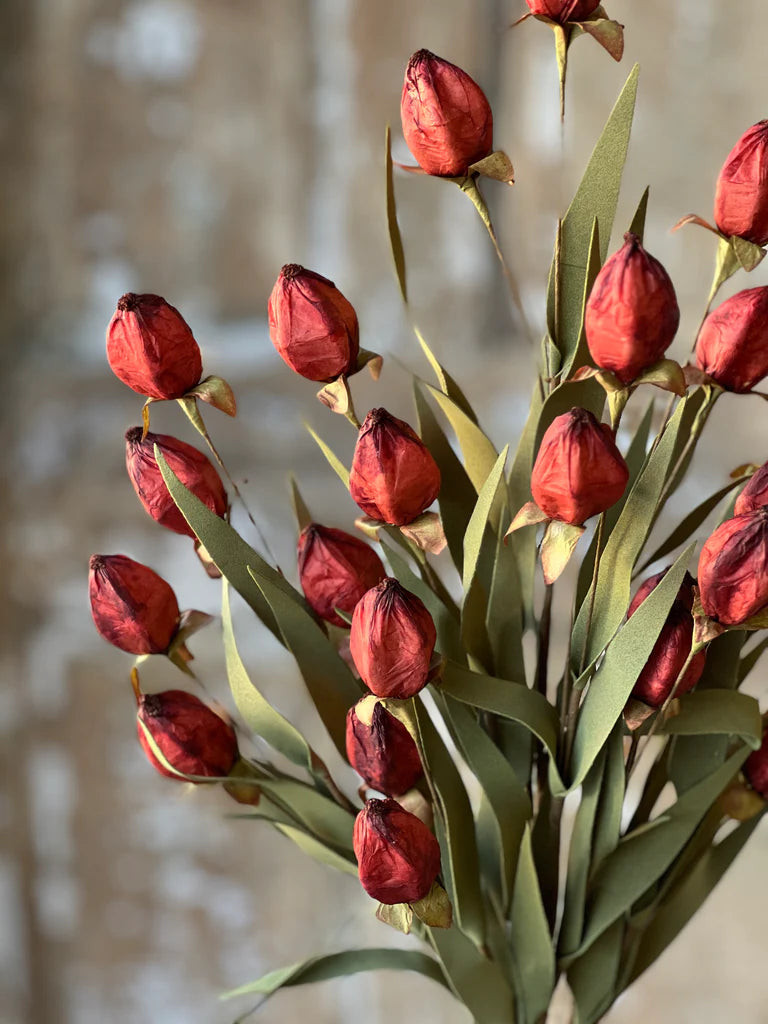 A close-up image of a bouquet featuring red lantern-shaped flowers in a garnet color, with green leaves.