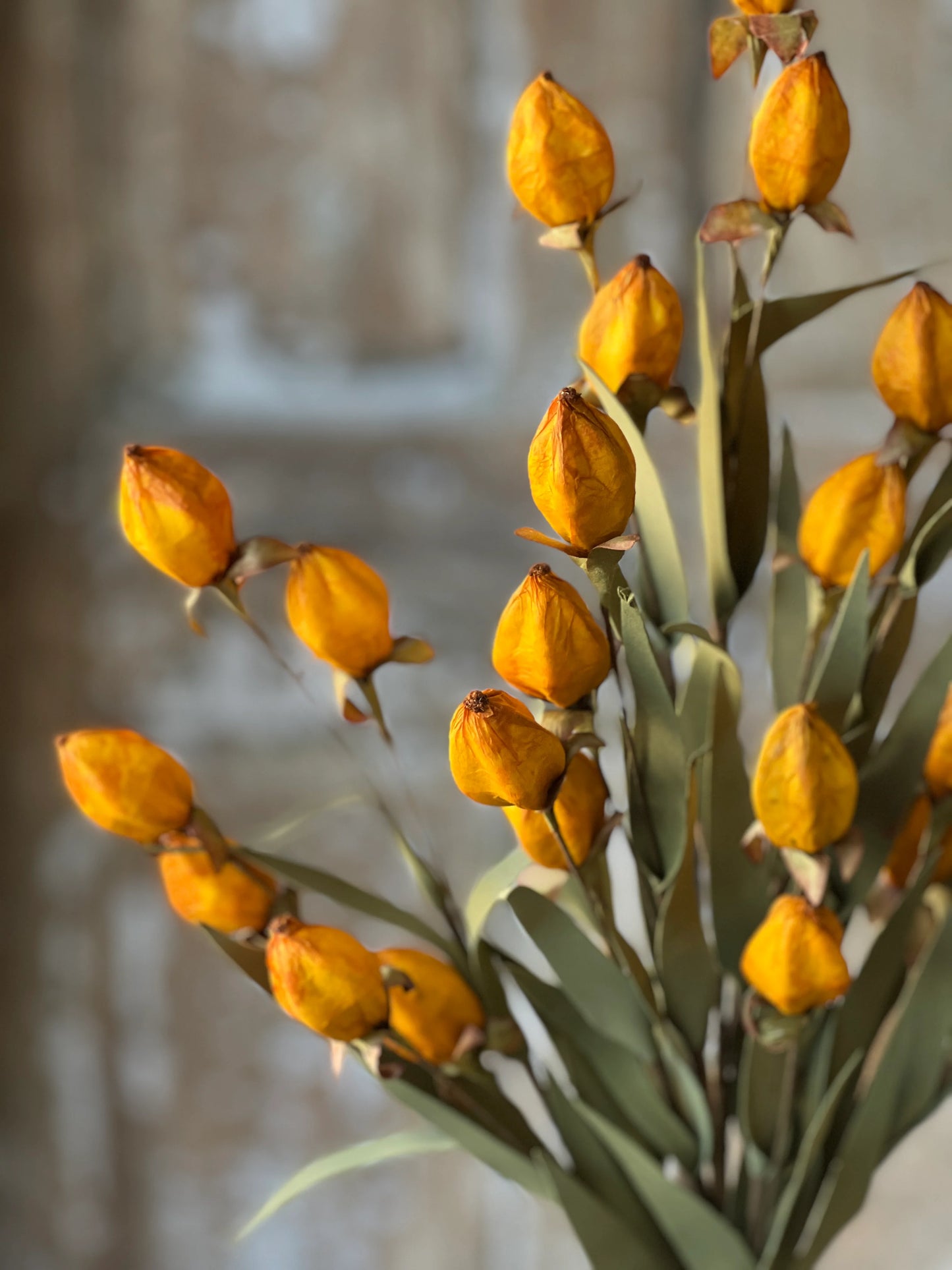 Beacon Bush | 23" | Saffron