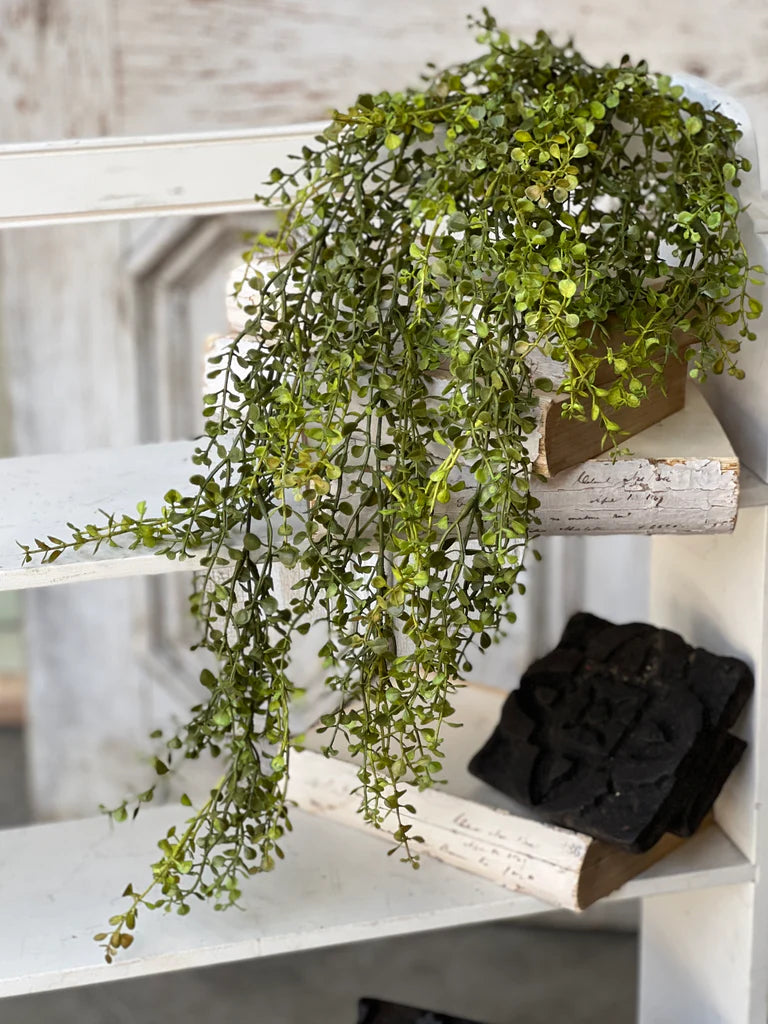 small fake hanging plants Baby's Grass Hanging Foliage