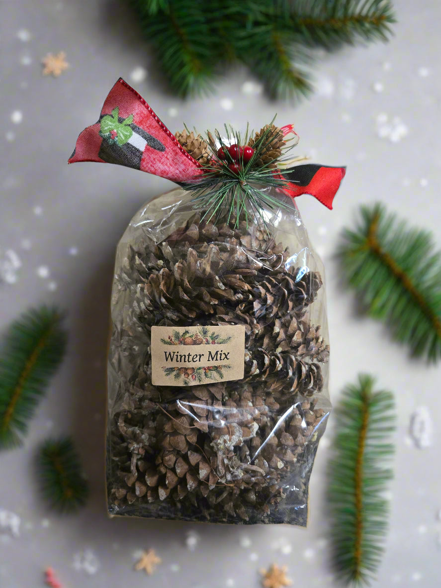 Bag of 'Winter Mix' with pinecones and a festive ribbon on a snowy background