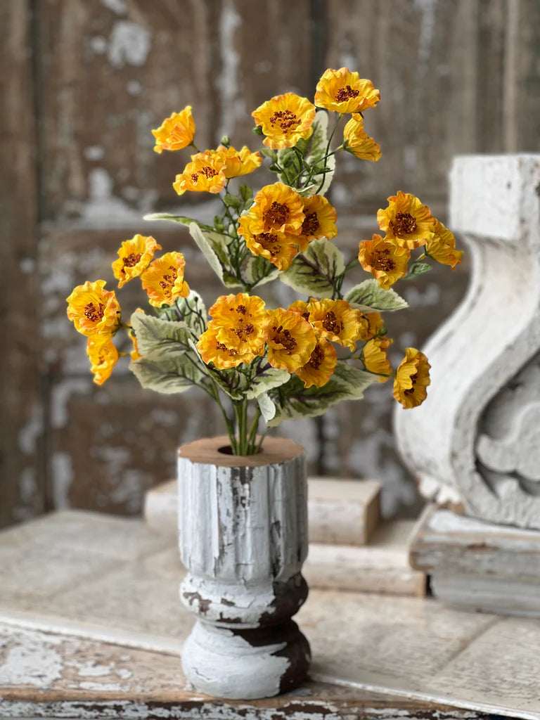 Goldenrod poppies in base with wood background.