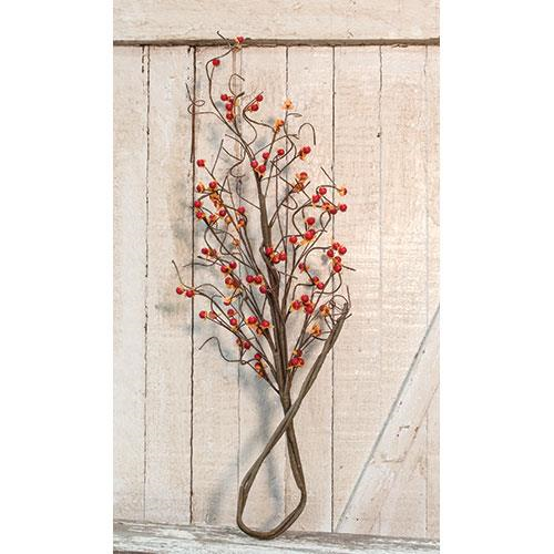 A dried bittersweet branch with burnt orange berries and yellow accents, displayed on a white wooden background.