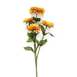 Floral pick on white background.