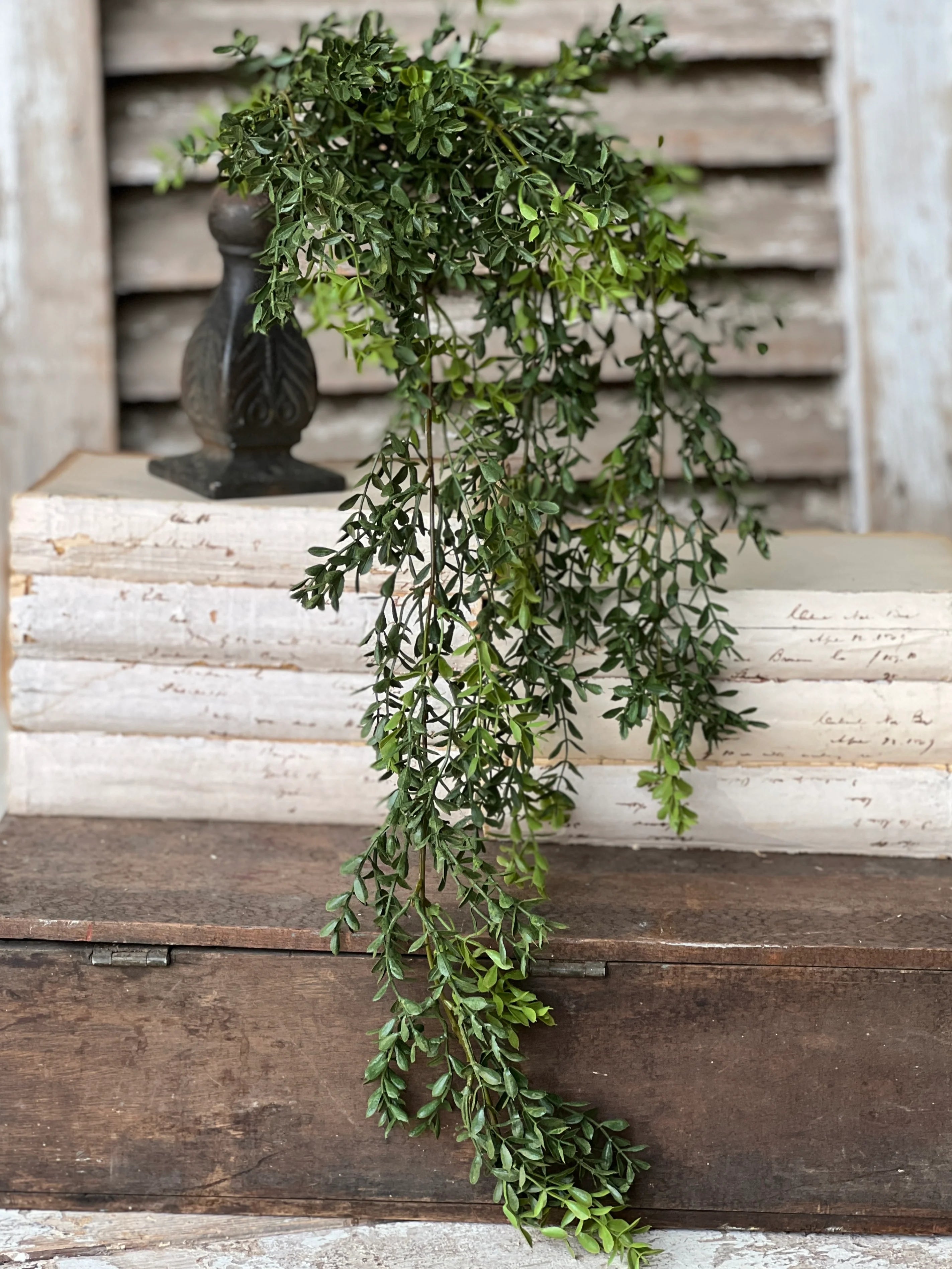 rustic hanging plants New England Boxwood Hanging