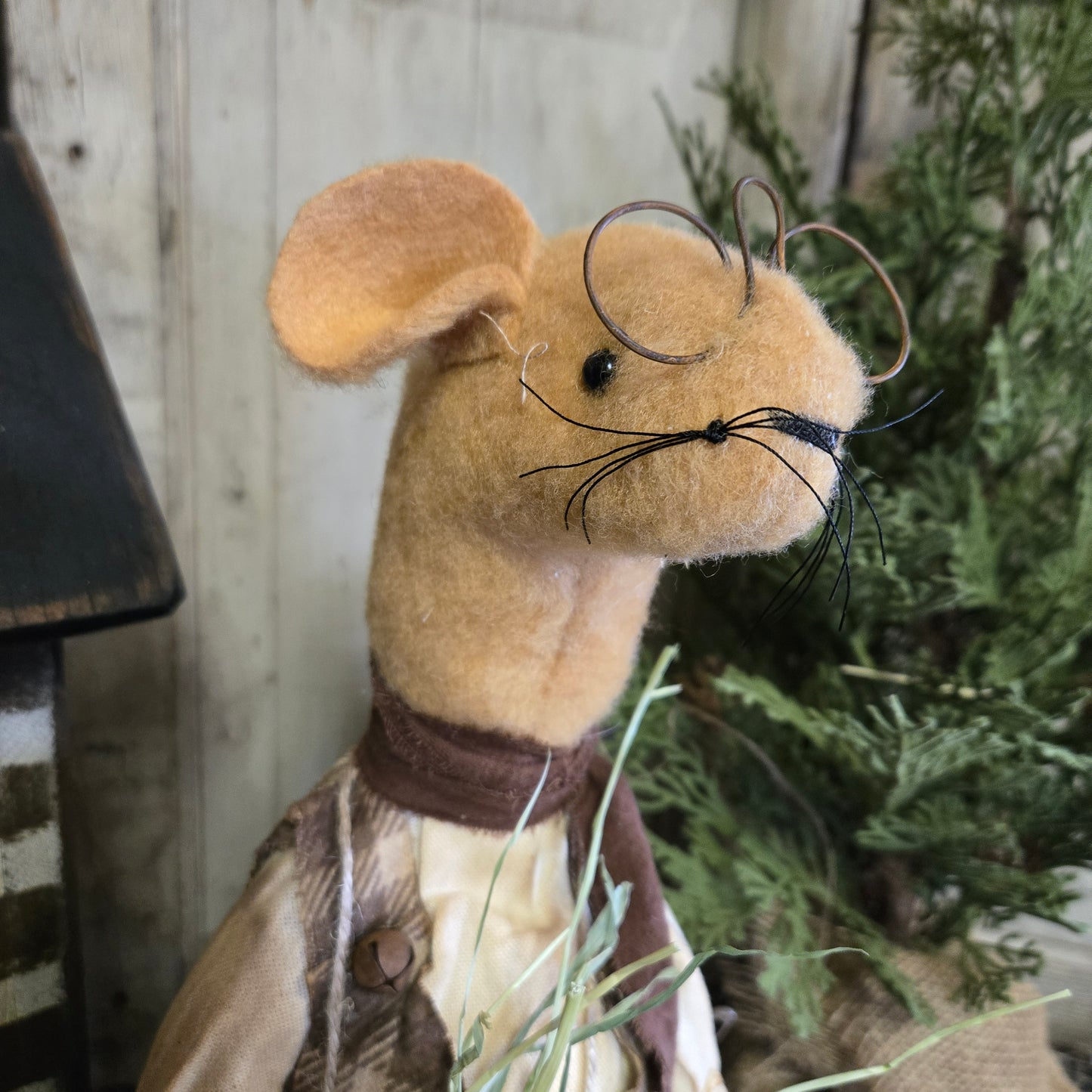 Primitive Willie Mouse