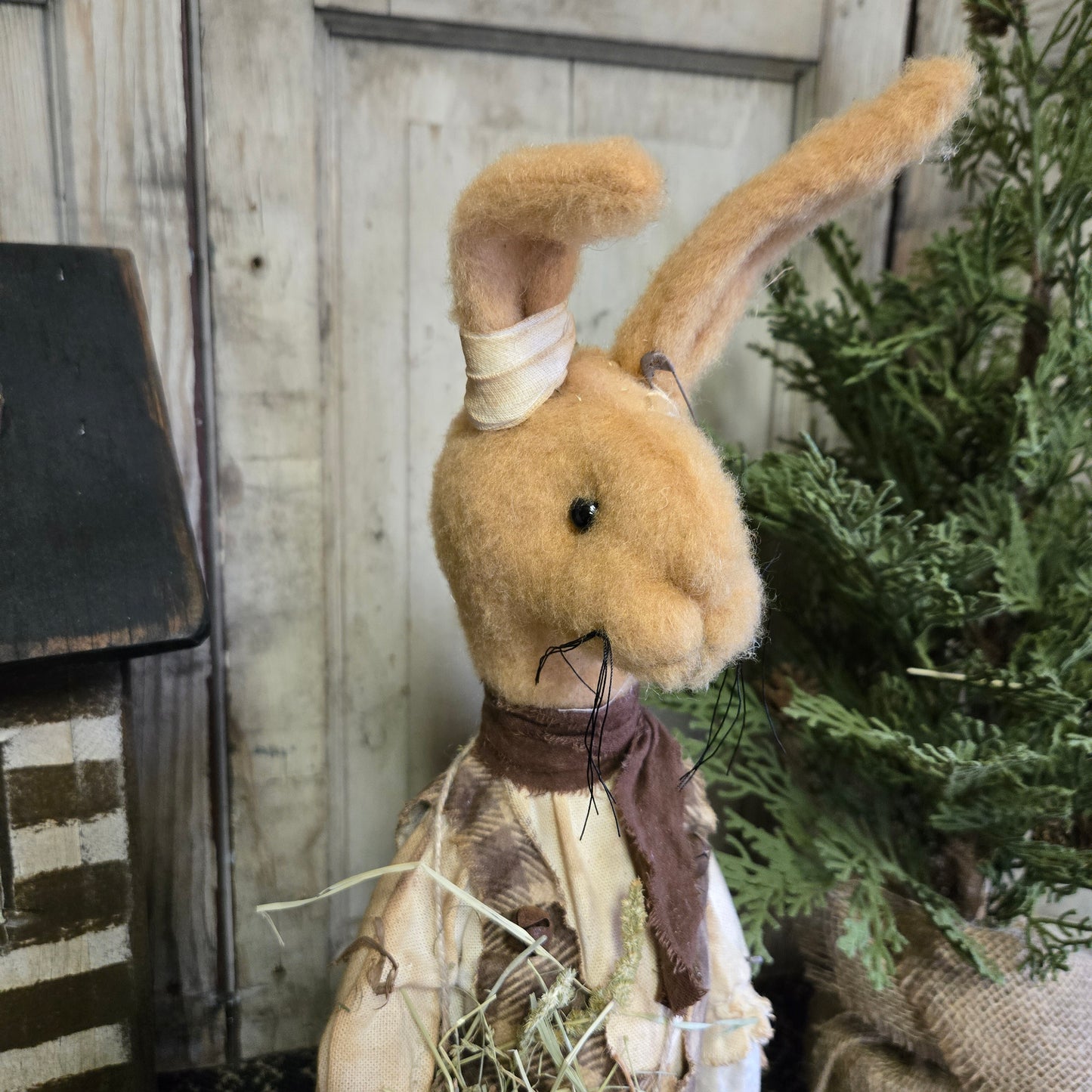 Primitive Billy Bunny