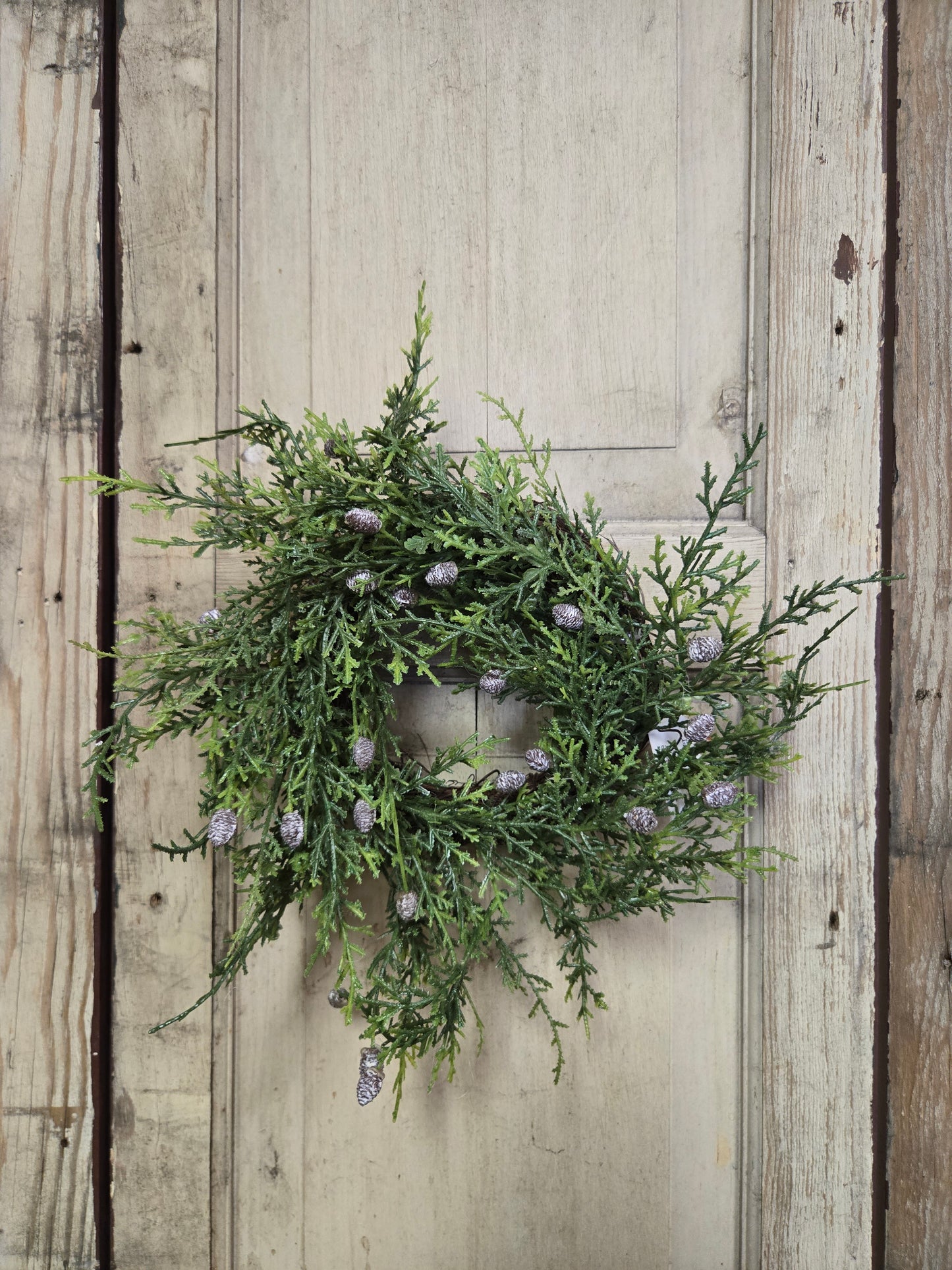 4" Creeping Cedar Candle Ring
