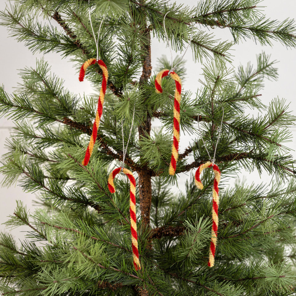 SET/ 12 MINI CHENILLE CANDY CANE ORNAMENTS