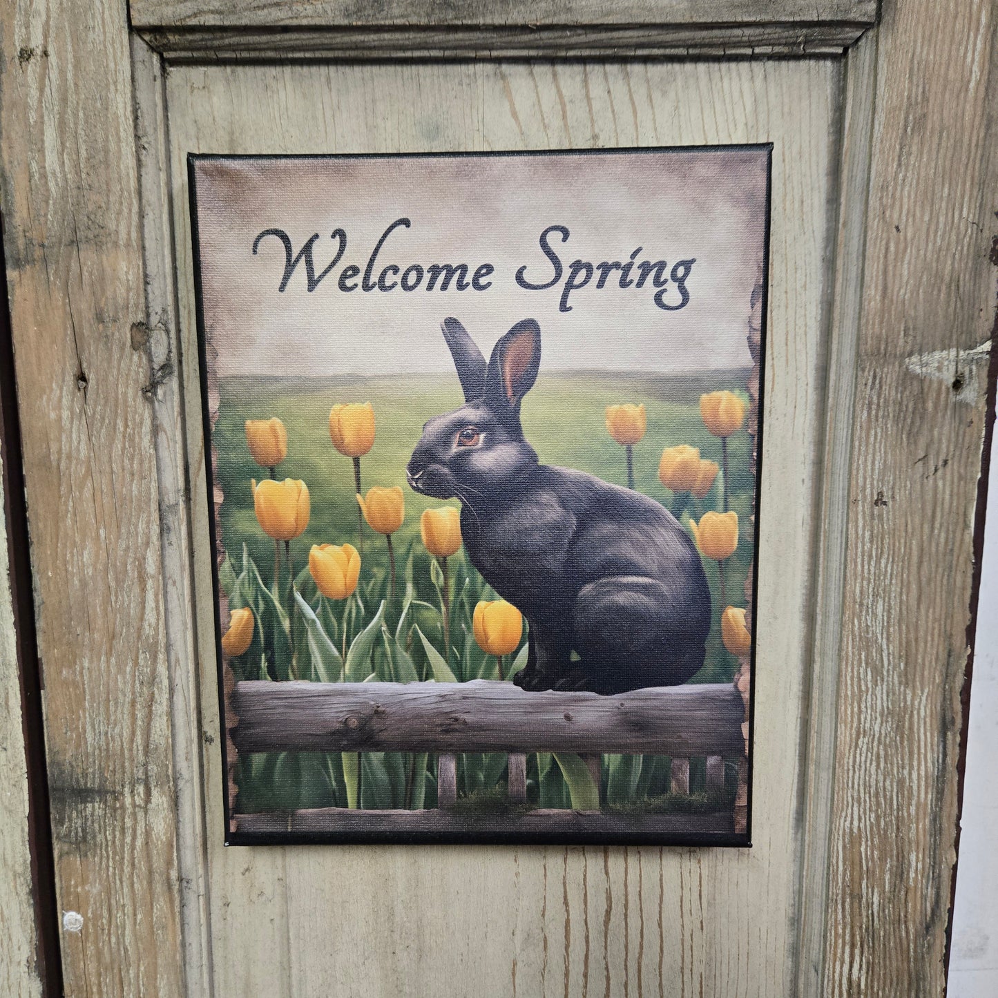 A canvas print featuring a black bunny among yellow tulips with the text 'Welcome Spring' on a rustic background.
