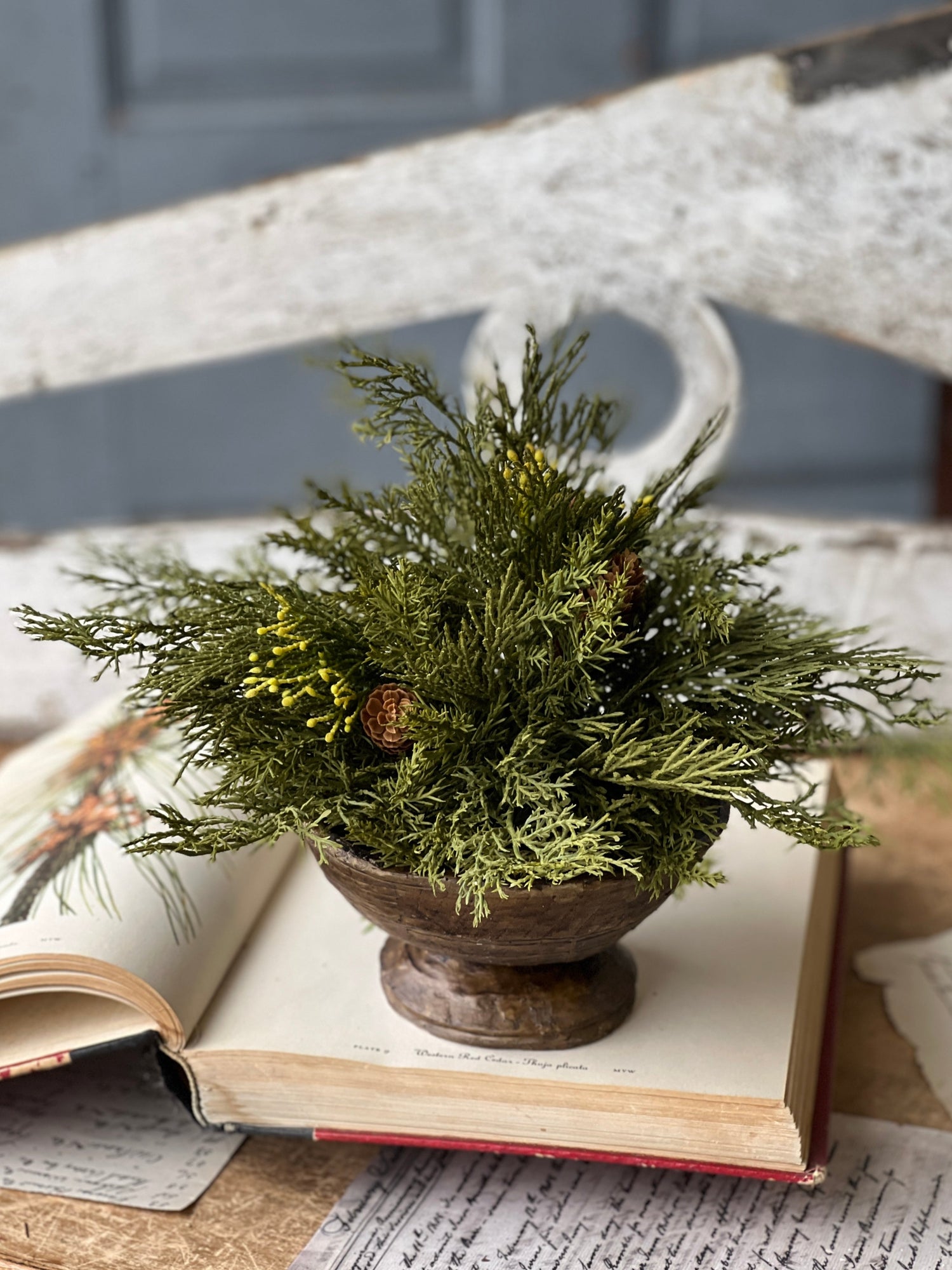 Christmas Trees and Greenery