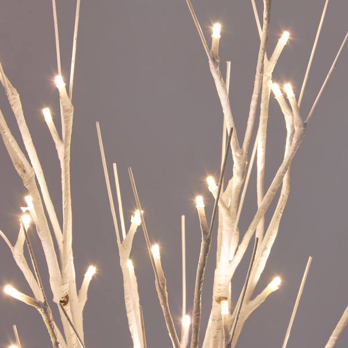 Double Birch Lighted Twig