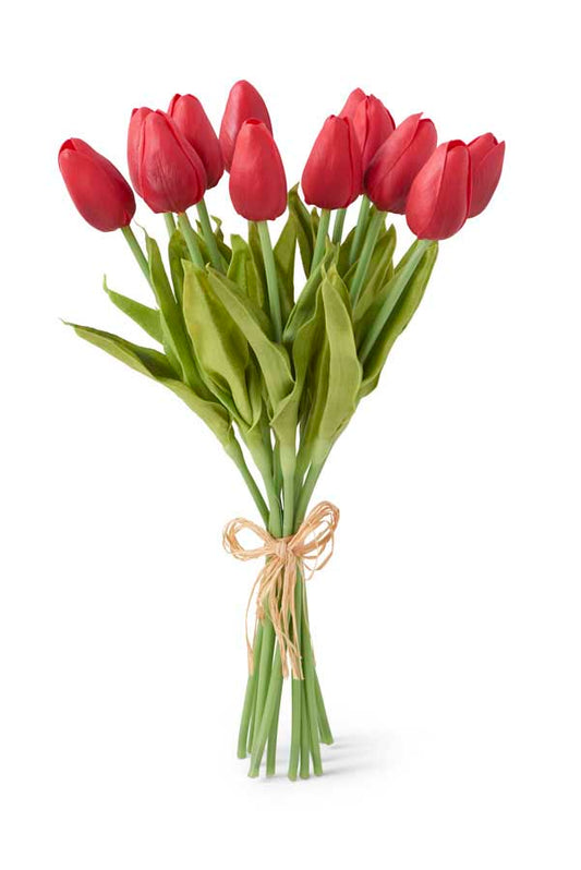 A bunch of red mini tulips with green stems tied together.