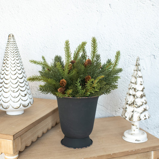 Potted plant with decorative trees on a wooden surface against a white wall
