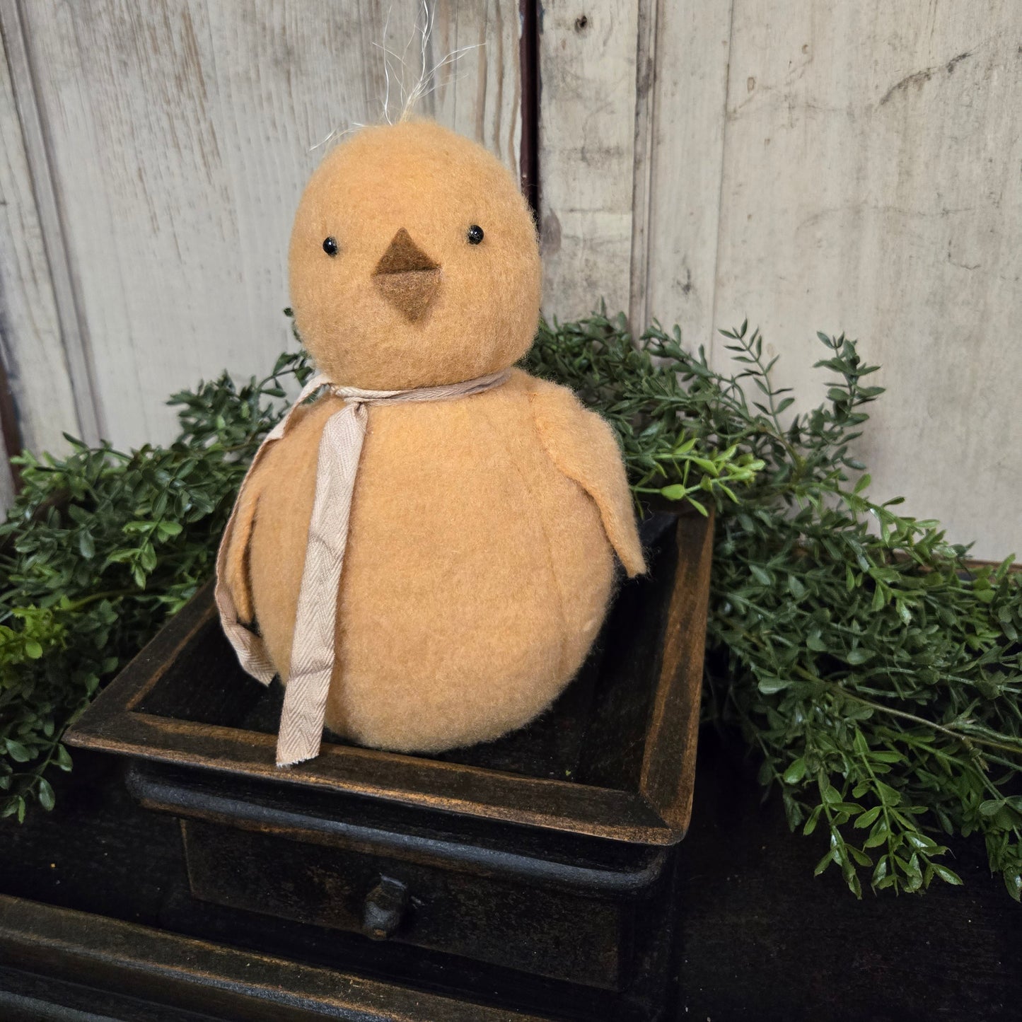 Primitive Chick