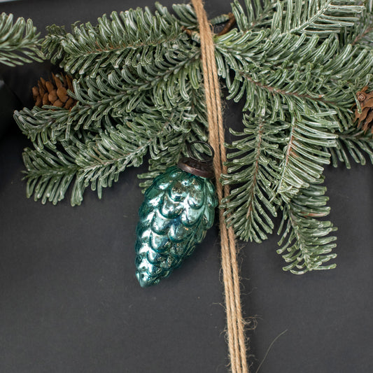 Green pine cone and branches on a dark background