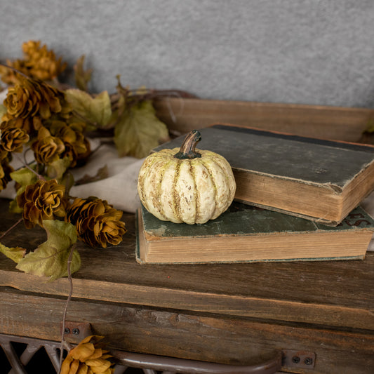 A white short pumpkin placed on top of two old books, with dry leaves and a textured background.