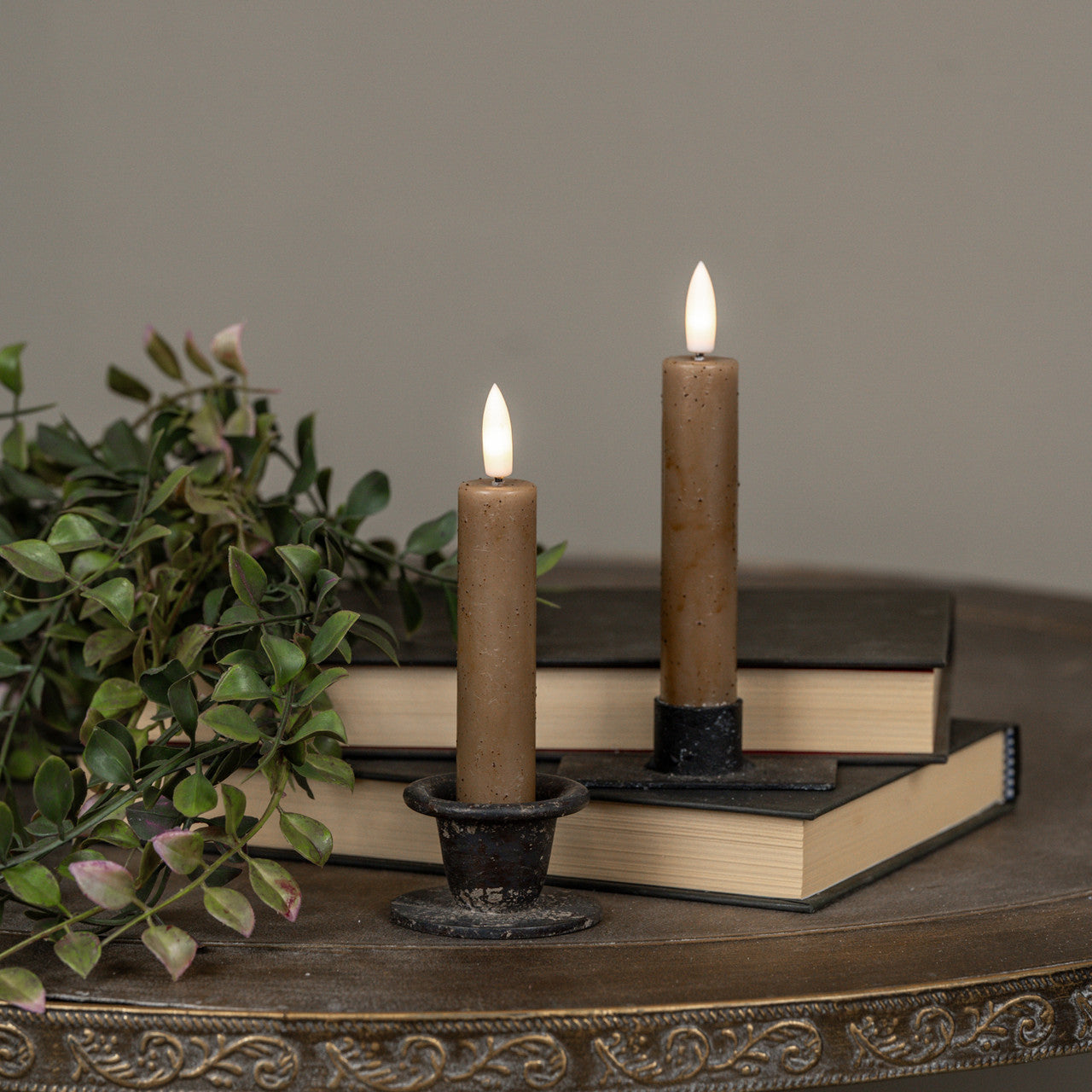 Two lit candles on books with a plant in the background
