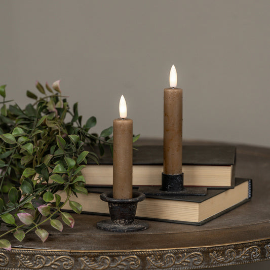 Two lit candles on books with a plant in the background