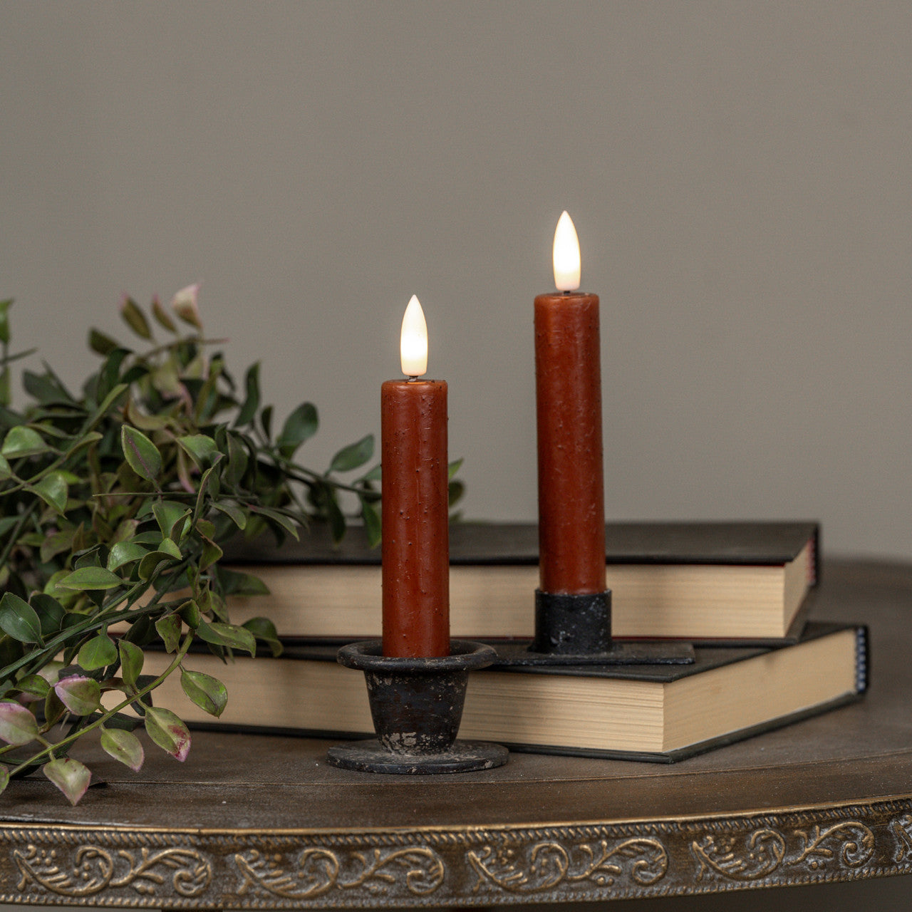 Two lit candles in black holders on books with a plant in the background
