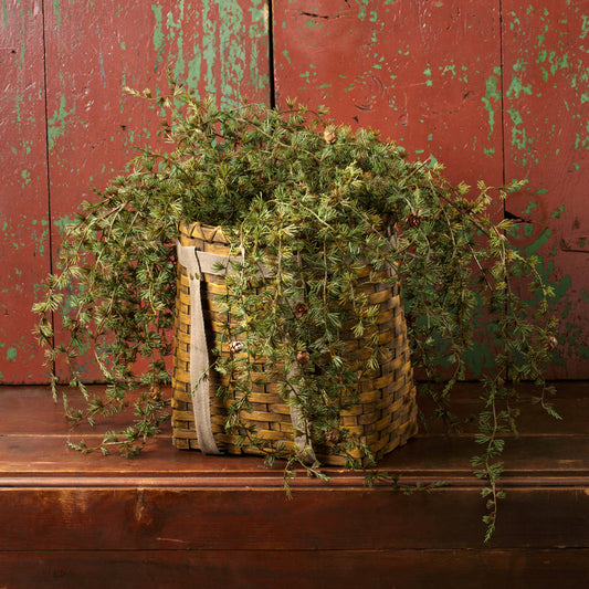 An artificial green weeping pine spray in a brown wicker basket, placed against a red background.