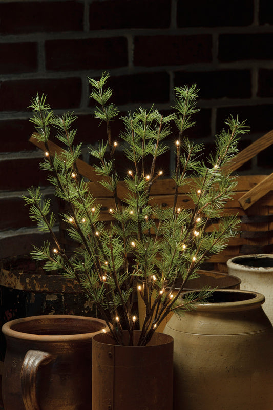 A small pine twig decorative lighting piece with 40 lights, displayed indoors.