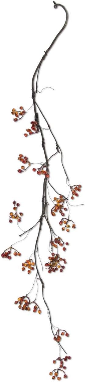 Decorative vine with small berries on a white background