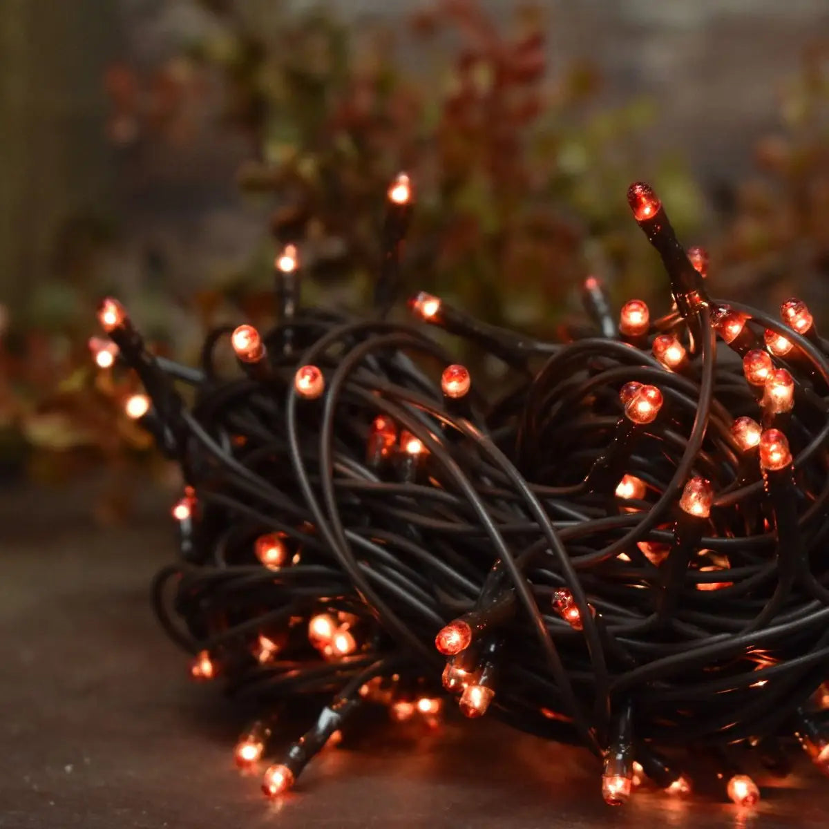 Amber 35 Bulb Primitive Rice String Lights 7.5ft Green Cord