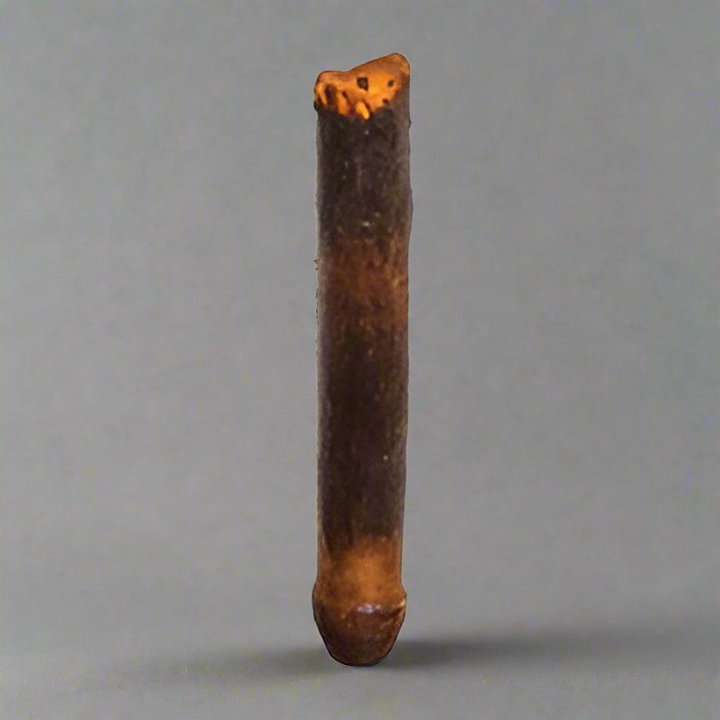 Taper candleholder on gray background