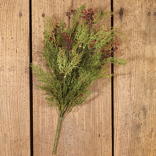 19" Cedar 'N' Berries Bush