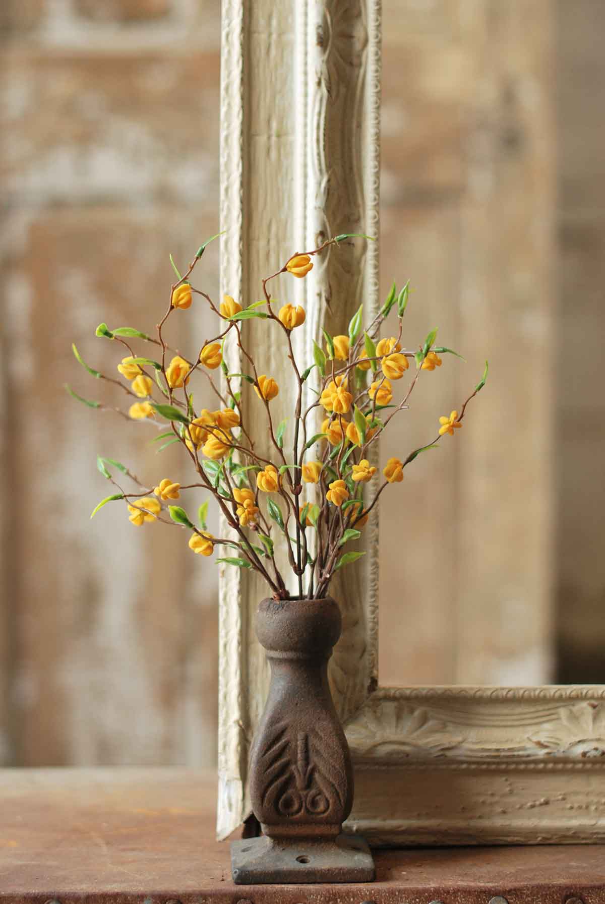 Daydream Buds Bush