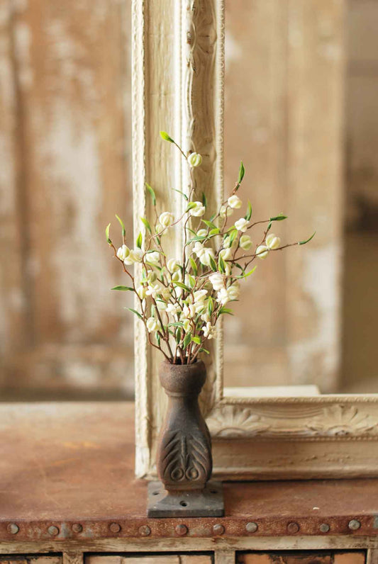 Daydream Buds Bush
