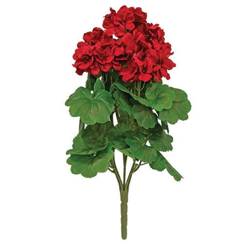 Red Geranium Bush w/Leaves