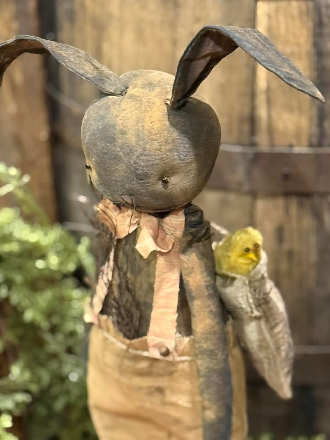 Primitive Peter Bunny