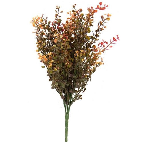 Red Baby's Grass Spray