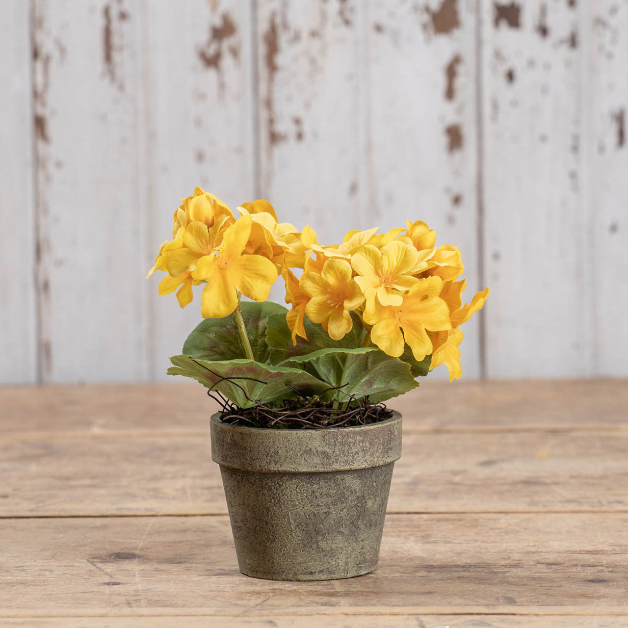 7" YELLOW POTTED GERANIUM