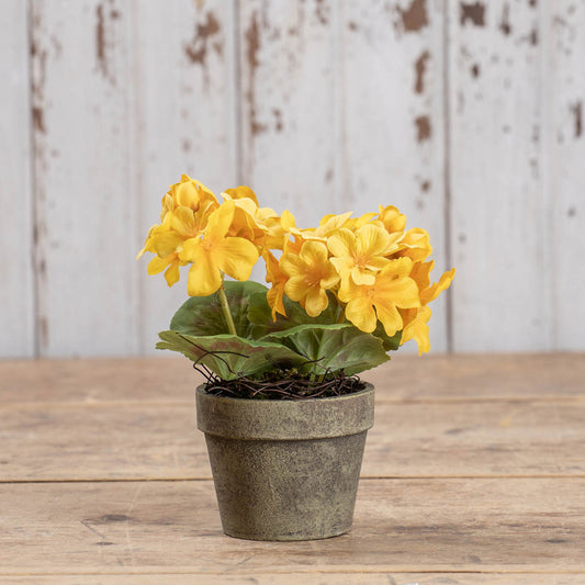 7" YELLOW POTTED GERANIUM
