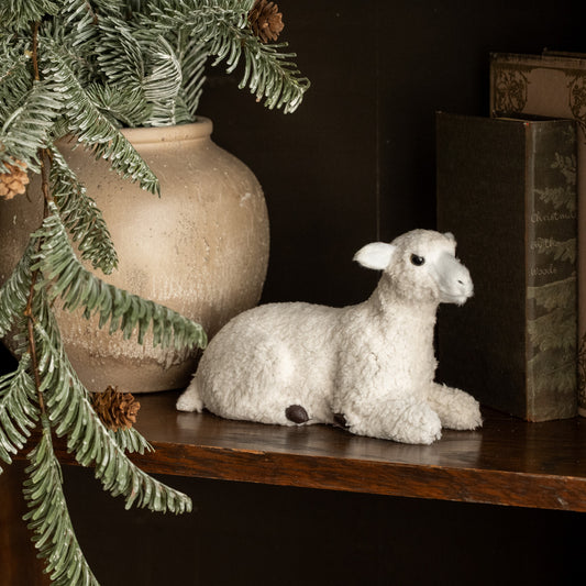 RESTING SHEEP